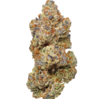 Buy OG Kush in UAE